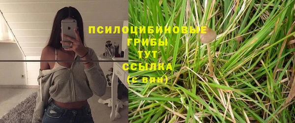 МДПВ Алзамай