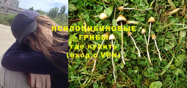 МДПВ Алзамай
