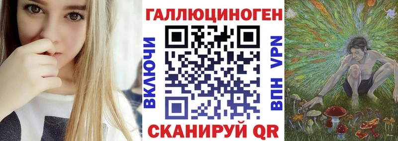 купить  цена  Чусовой  Псилоцибиновые грибы Psilocybine cubensis 