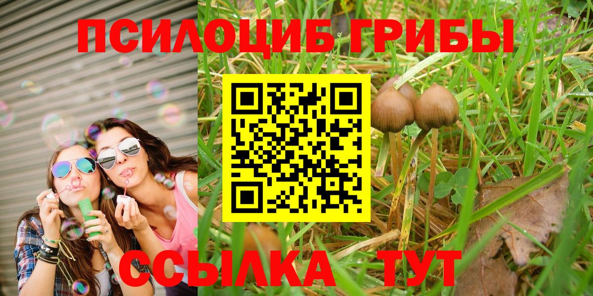 Псилоцибиновые грибы GOLDEN TEACHER Чусовой