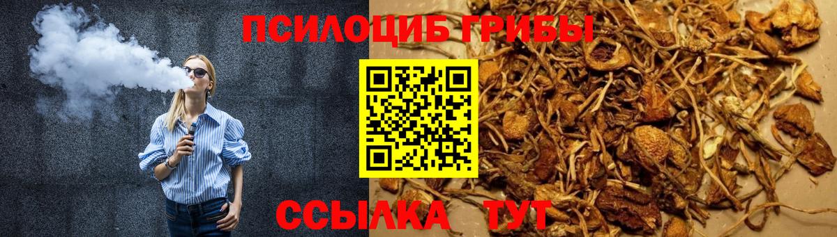 Чусовой  Галлюциногенные грибы мухоморы  Вход с VPN 